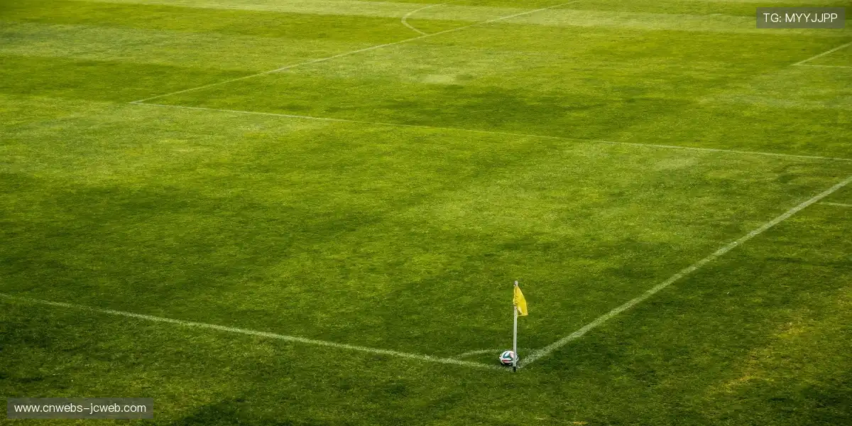 📱 观赛体验全面进化,让你爱不释手,热血即刻引爆!❤️